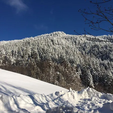 Cima 21 * Fanano
